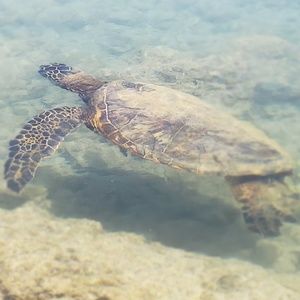 Meet your Posher, Tyslynn